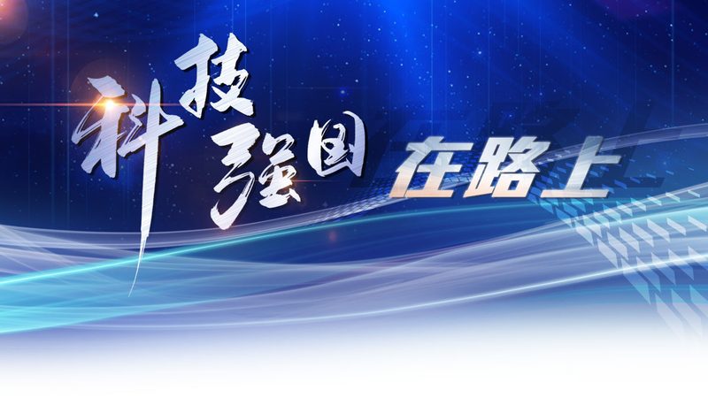 企业数字化安全风险排查：步骤与要点解析