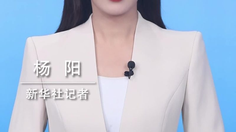 自研与外包：产品迭代速度的较量